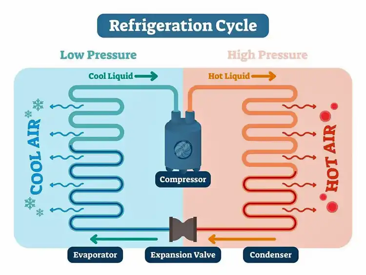 refrigeration cycle explained: Evaporator, Compressor, Condenser, and Expansion Valve